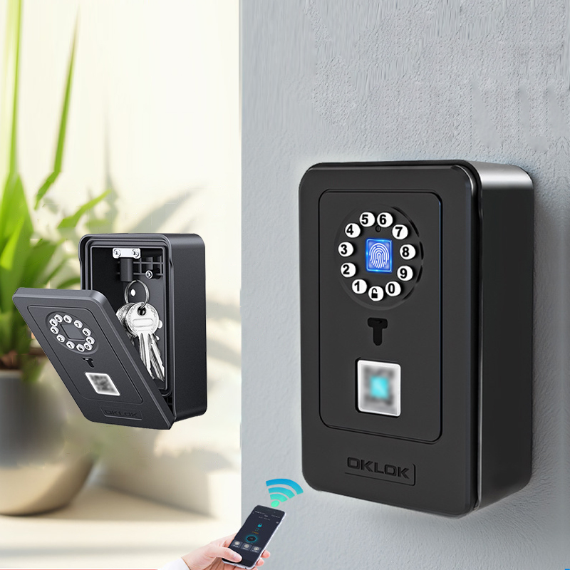 Home Security Door Lock - Cassetta di Sicurezza Intelligente con Design
