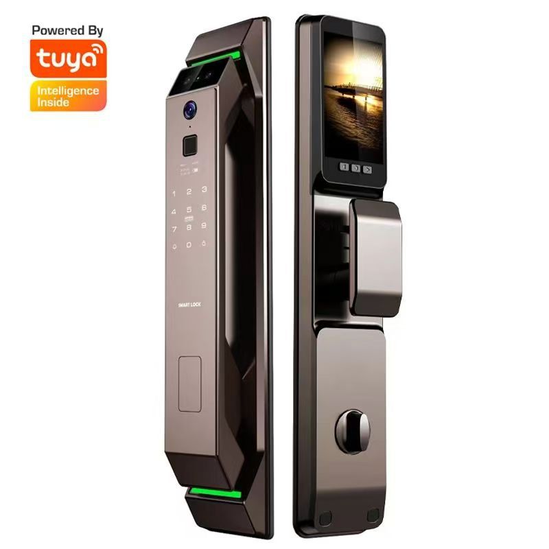 Home Security Door Lock - Serratura Intelligente TUYA con Riconoscimento Facciale