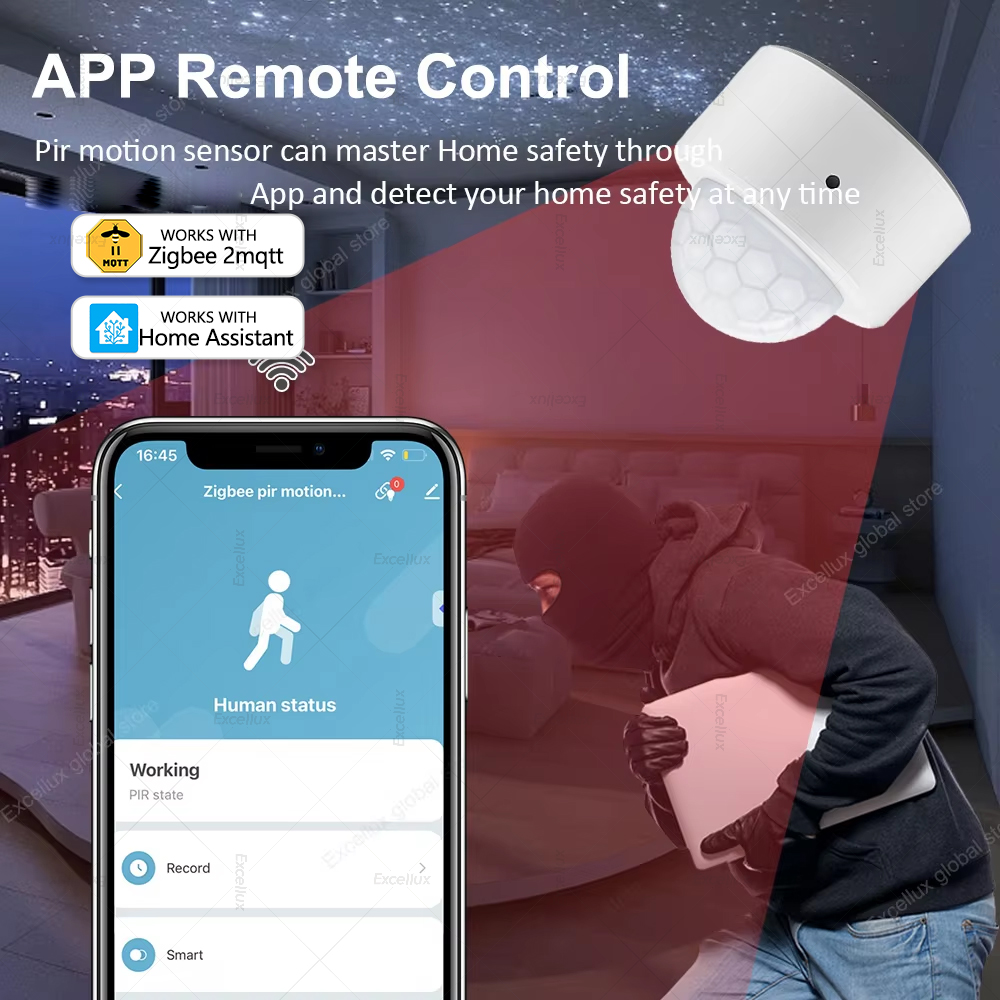 Sensore di movimento PIR ZigBe - Home Security With Alarm recensione e prezzo