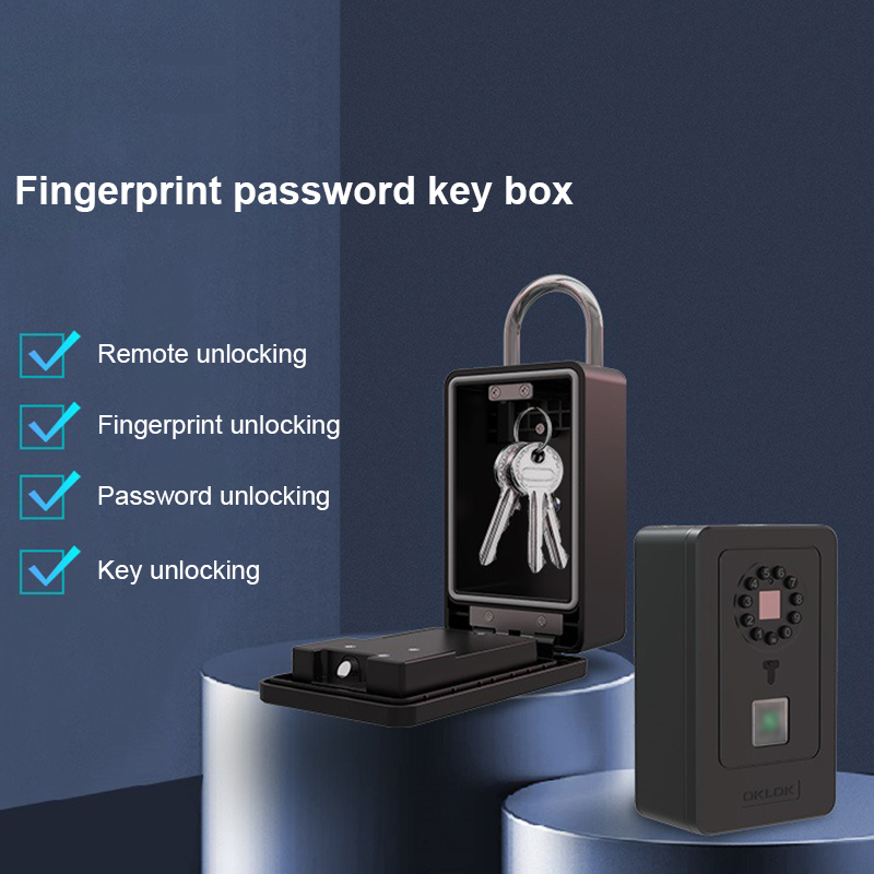Cassetta di Sicurezza Intellig - Home Security Door Lock recensione e prezzo