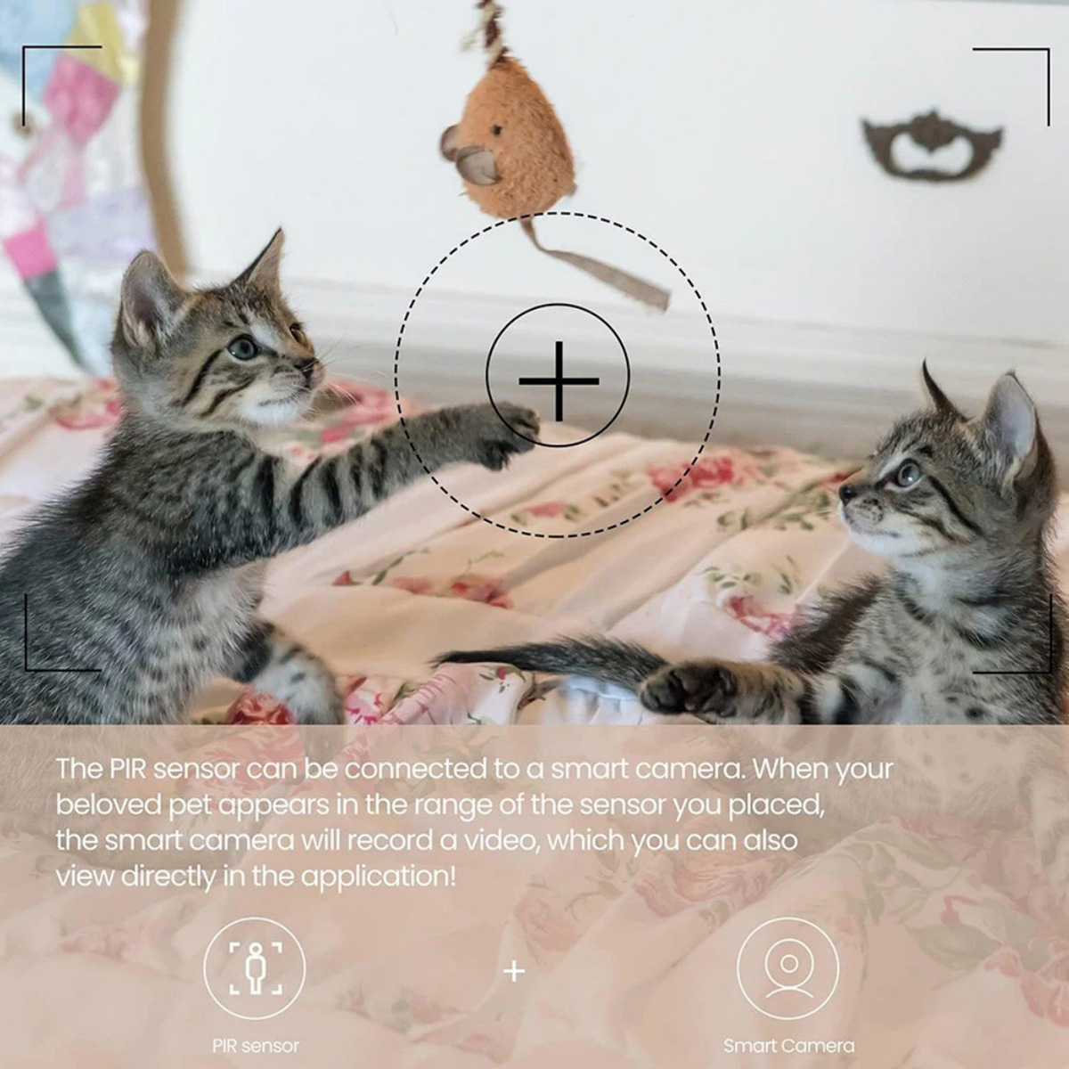 Sensore di Movimento PIR ZigBe - Home Security With Alarm recensione e prezzo