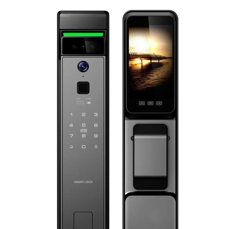 Serratura Intelligente TUYA co - Home Security Door Lock recensione e prezzo