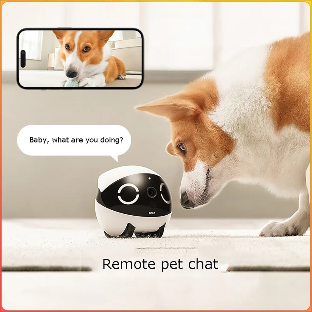 Robot Compagno per Animali Dom - Home Security Robot recensione e prezzo