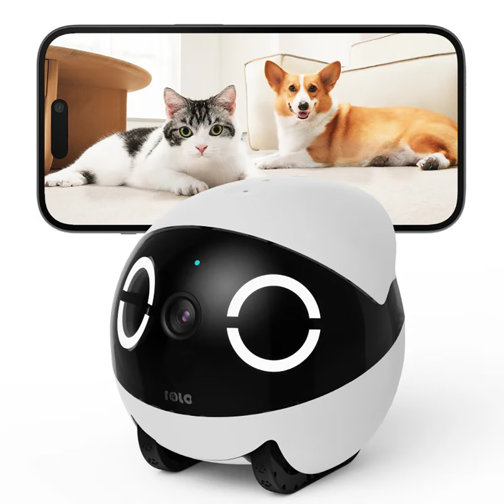 Robot Compagno per Animali Dom - Home Security Robot recensione e prezzo