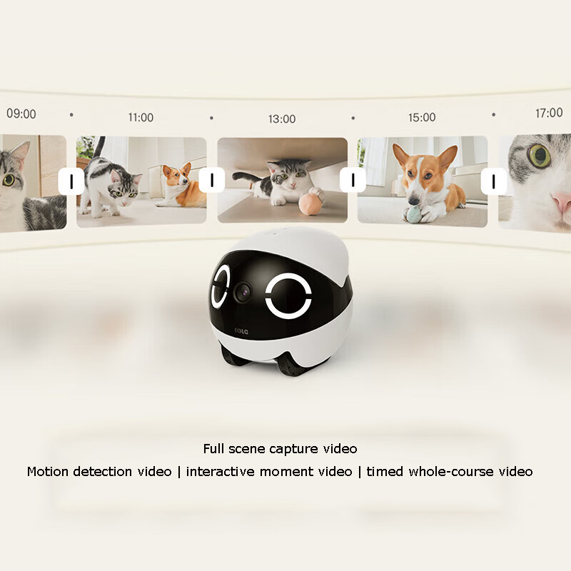 Robot Compagno per Animali Dom - Home Security Robot recensione e prezzo