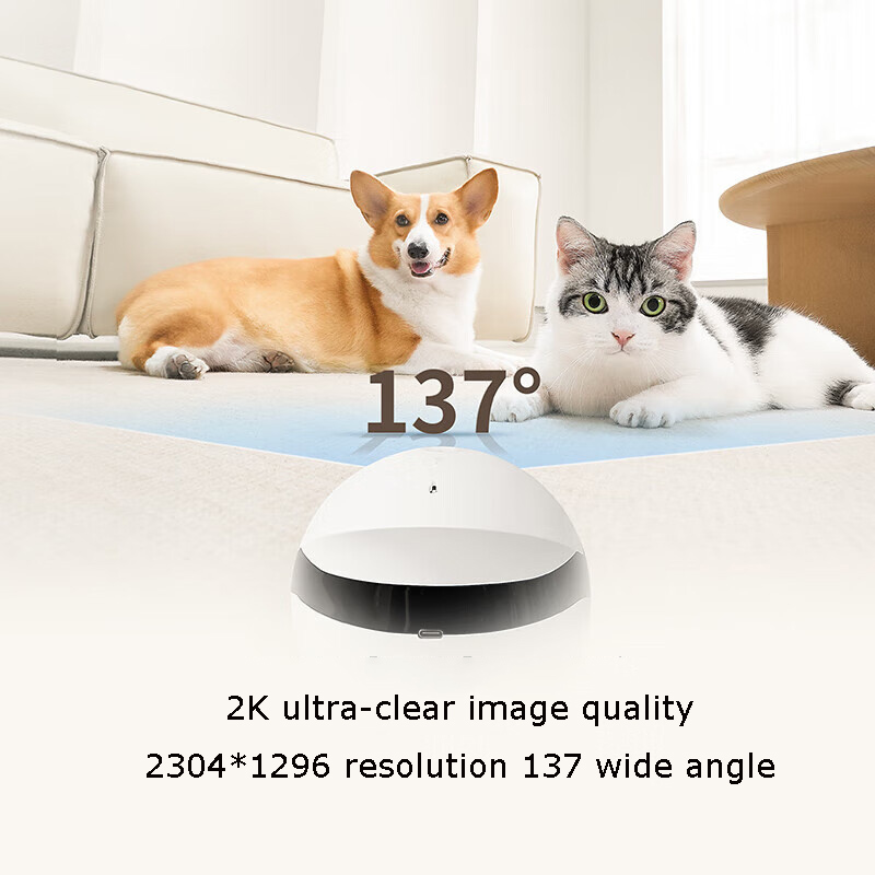 Robot Compagno per Animali Dom - Home Security Robot recensione e prezzo